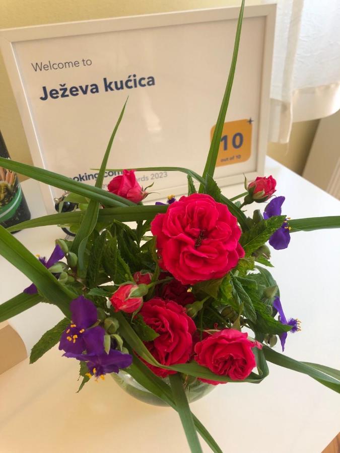 סראייבו Hedgehog'S Home - Jezeva Kucica Free Parking מראה חיצוני תמונה