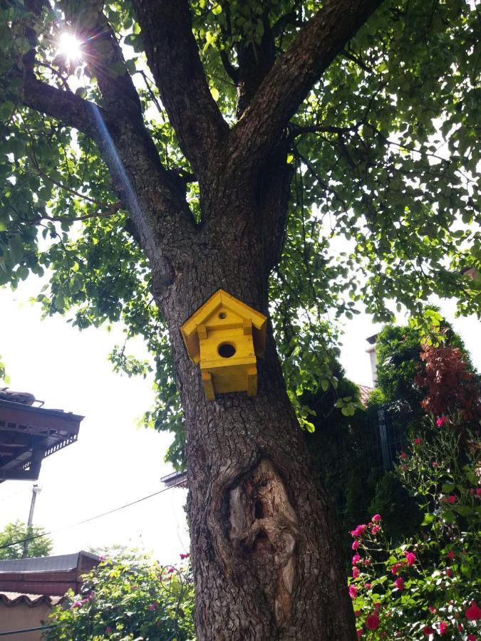 סראייבו Hedgehog'S Home - Jezeva Kucica Free Parking מראה חיצוני תמונה