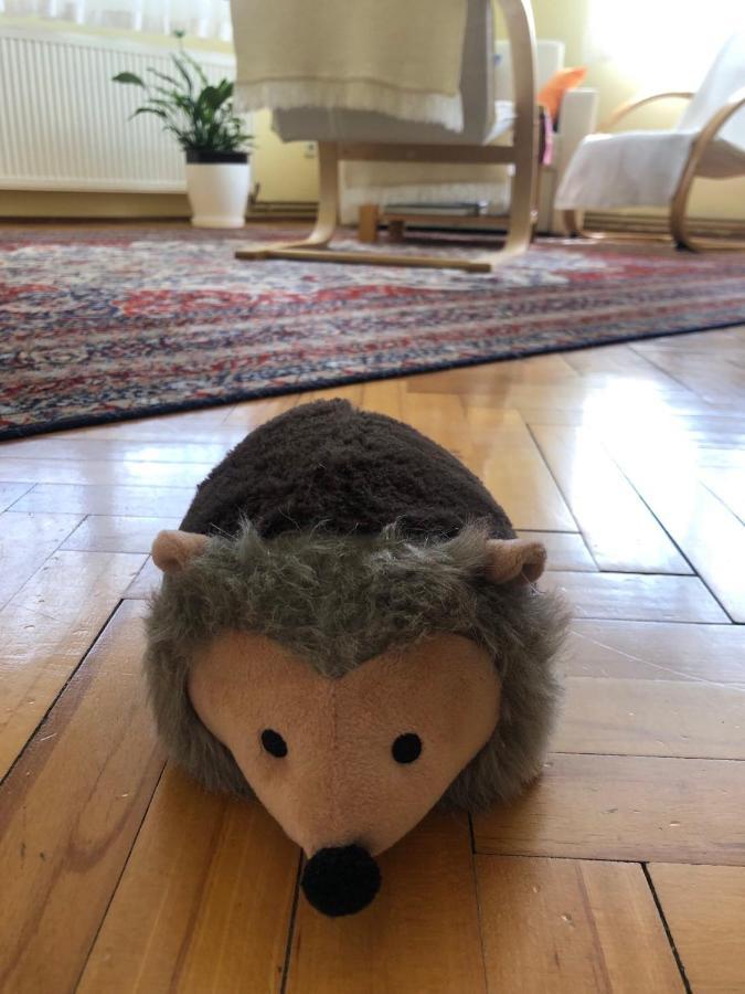 סראייבו Hedgehog'S Home - Jezeva Kucica Free Parking מראה חיצוני תמונה